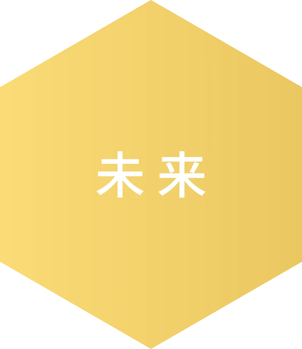 未来